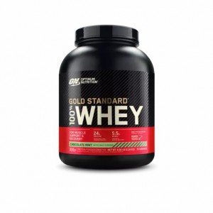 Optimum Nutrition GOLD STANDARD 100% WHEY™ Chocolate Mint 5 lb (70 Servings) Portugal | AOFCTM124